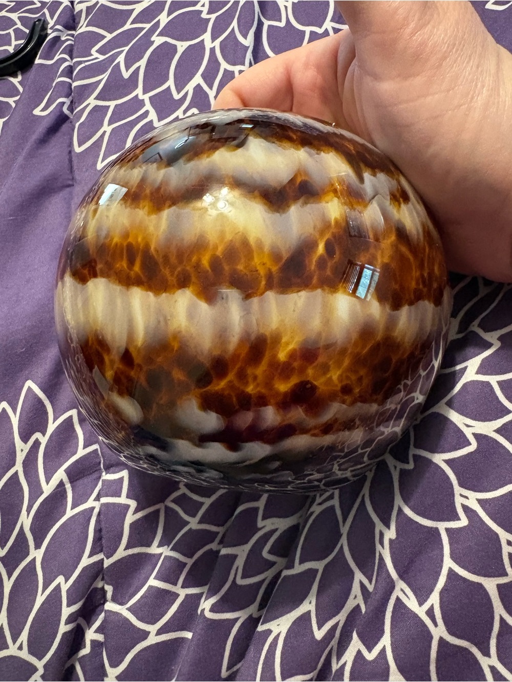 Blown Glass Vase Amber Brown
Tortoise Shell Leopard Print Spots